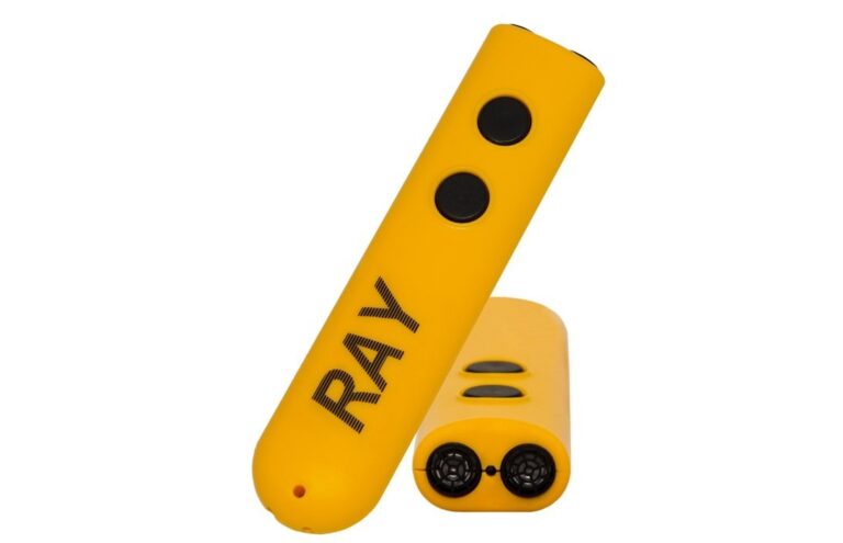 Ray Electronic Mobility Aid for the Blind
