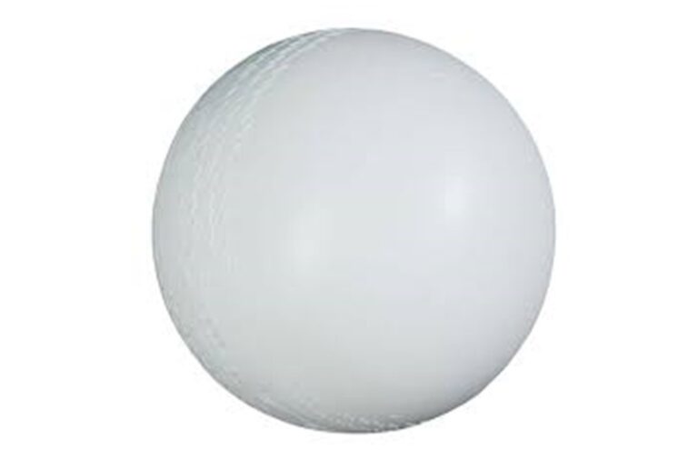 Cricket Ball with Rattles