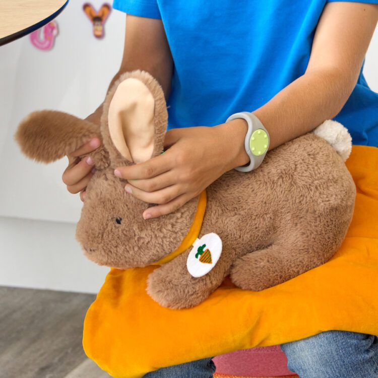 TTS Weighted Lap Buddies and Blanket