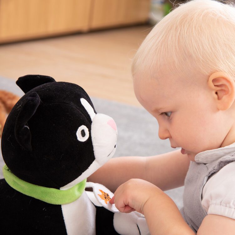 TTS Weighted Lap Buddies and Blanket