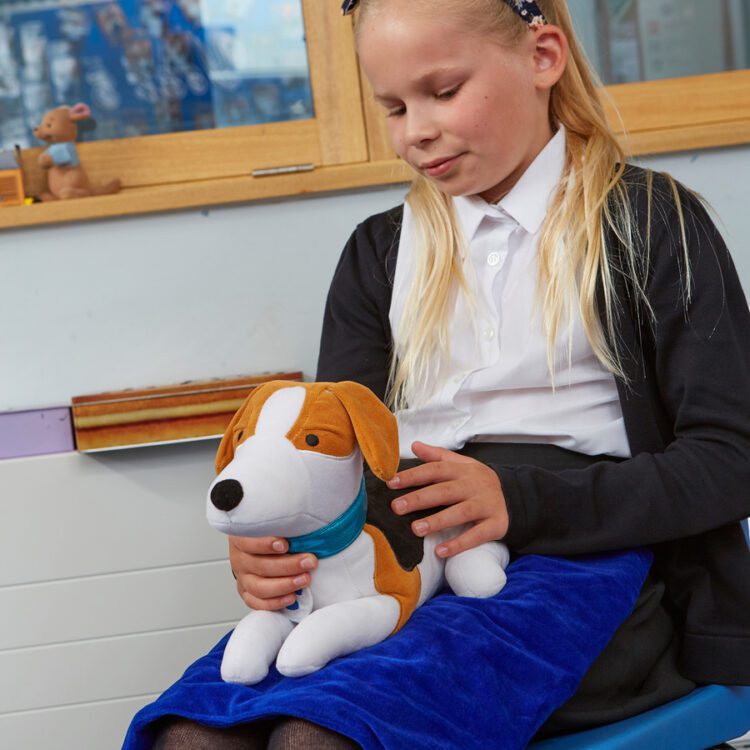 TTS Weighted Lap Buddies and Blanket
