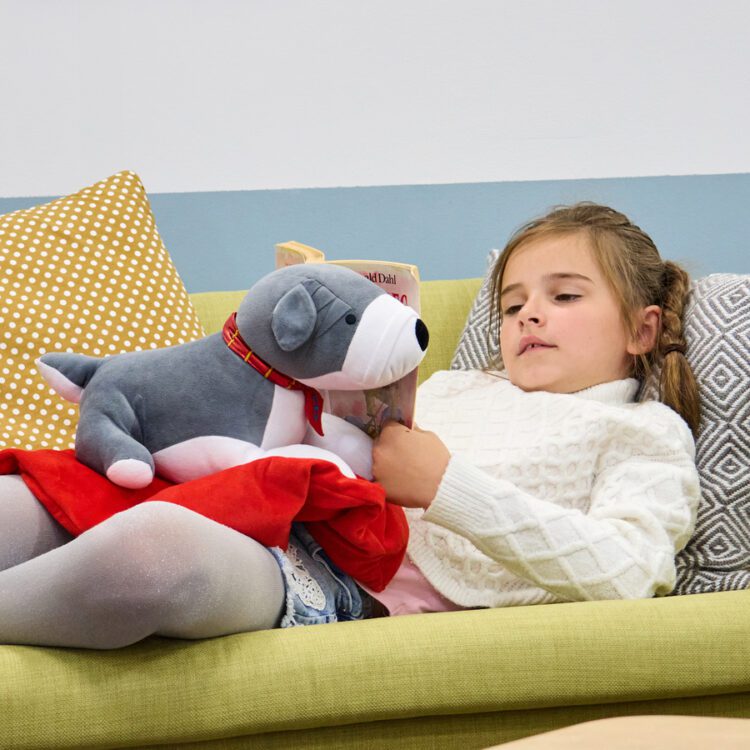 TTS Weighted Lap Buddies and Blanket
