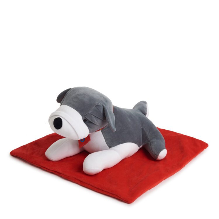 TTS Weighted Lap Buddies and Blanket