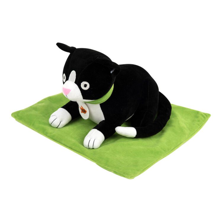 TTS Weighted Lap Buddies and Blanket